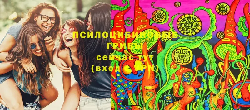 Псилоцибиновые грибы Psilocybine cubensis  ссылка на мегу   Энем  сколько стоит 